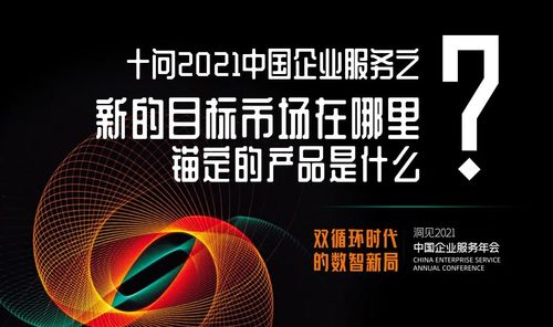 十问2021中国企业服务 新市场与新材料的锚点何在